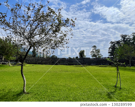 Tree and green grass on the lawn opposite the fortress wall 130289599