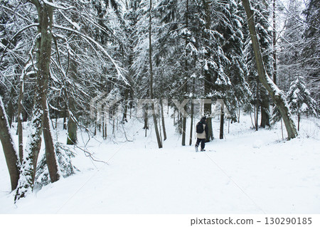 Winter forest on a cloudy day. Beautiful forest landscape in winter 130290185