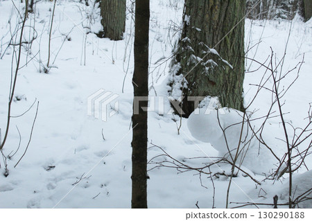 A small snowman behind a tree. Snowy winter fun 130290188