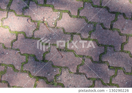 Paving slabs with grass between the seams close-up. Background Tiles Paving slabs with grass between the seams close-up. Background Tiles 130290226