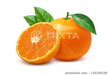 Mandarin orange illustration realistic mandarin orange 130290294