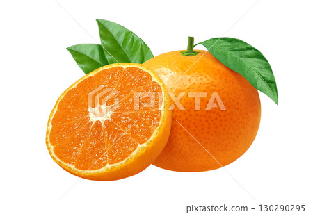 Mandarin orange illustration realistic mandarin orange 130290295