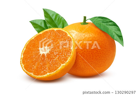 Mandarin orange illustration realistic mandarin orange 130290297