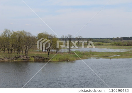 spilling the river in spring on the plain. The river came out of the banks. Natural phenomenon 130290483