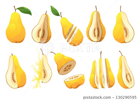 Yellow pear food whole, cut half, piece, part and slice chopped of fruit. Harvest ripe fruit. Popular healthy garden food pear. Vector flat illustration 130290595