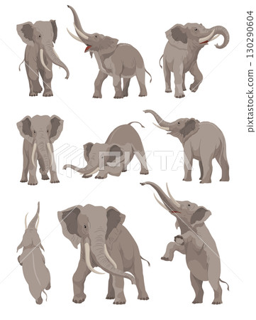 Flat vector set of elephants in different poses. African or Asian animals with large ears and long trunks. Wildlife theme Flat vector set of elephants in different poses. African or Asian animals with large ears and long trunks. Wildlife theme 130290604