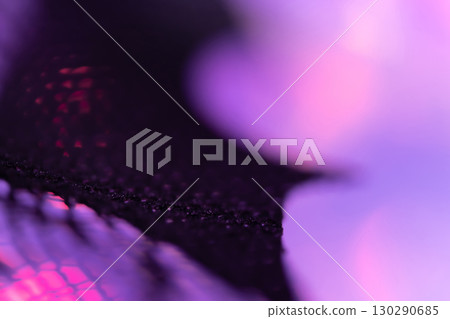 Black lace Halloween background material 130290685