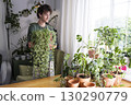 Home plants and the environment A young man is taking care of plants at home. Ampel climbing plant . Glechoma hederacea. 130290779