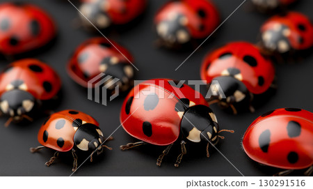 Ladybugs in nature showcasing pattern and wildlife in a macro closeup with red spots Ladybugs in nature showcasing pattern and wildlife in a macro closeup with red spots 130291516
