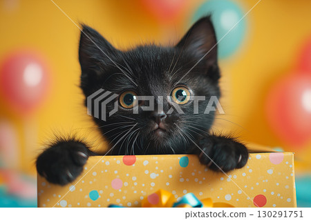 Adorable black kitten surprises in colorful box with balloons, perfect for party celebration Adorable black kitten surprises in colorful box with balloons, perfect for party celebration 130291751