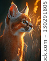 Majestic caracal feline wildlife portrait at sunset capturing nature's beauty 130291805