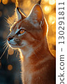 Caracal cat with striking ears and orange profile in exotic nature, sunlight, and bokeh background 130291811