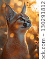 Caracal cat with striking fur and whiskers, elegant in nature at sunset with bokeh background 130291812