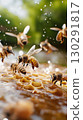 Honeybees Buzzing Around Honeycombs in Nature: Perfect Image for Wildlife Enthusiasts 130291817