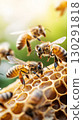 Closeup of bees on honeycomb showcasing insects, pollination, and natural environment beauty. 130291818