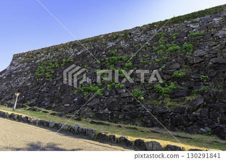 The stone walls of Ozu Castle and the green landscape under the blue sky 130291841
