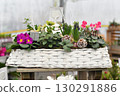 Christmas composition with cyclamen in a pot 130291886
