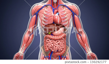 chili pepper with leaf isolated on black background 130292177