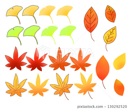 Autumn leaves, ginkgo, maple 130292520
