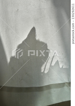 影子 影子 130292611