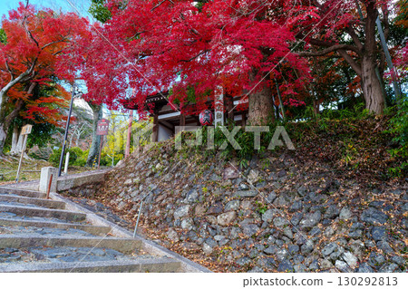 被紅葉包圍的法勝寺仁王門 130292813