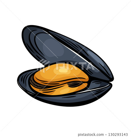 Mussel shell seafood vector in Mediterranean sketch style 130293143