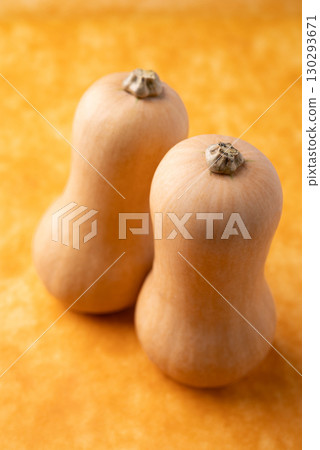 Fresh butternut squash pumpkin on orange background, Vegetable in Autumn season, Food ingredient 130293671