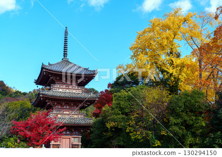 被秋葉包圍的寶勝寺 130294150