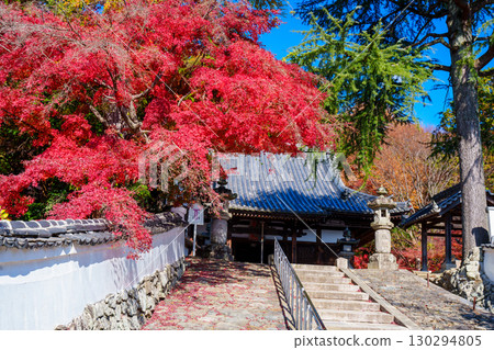 寶勝寺的參道被秋葉籠罩 130294805