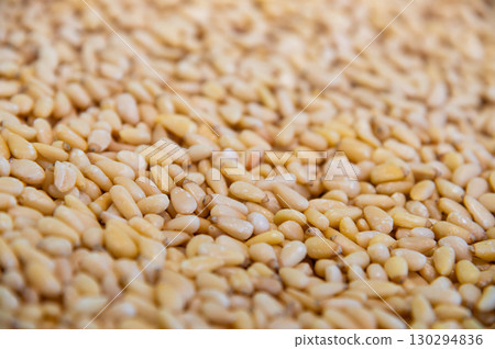 Close up of dried organic pine nuts pinoli or pignoli. background in shallow depth of field. Healthy spices, nuts, seeds and plant foods. Close up of dried organic pine nuts pinoli or pignoli. background in shallow depth of field. Healthy spices, nuts, seeds and plant foods. 130294836