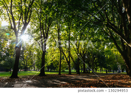 Carlton Gardens in Melbourne Australia Carlton Gardens in Melbourne Australia 130294953