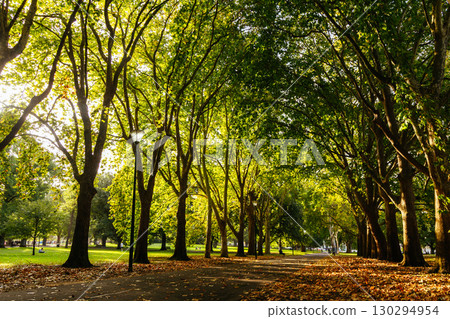 Carlton Gardens in Melbourne Australia Carlton Gardens in Melbourne Australia 130294954