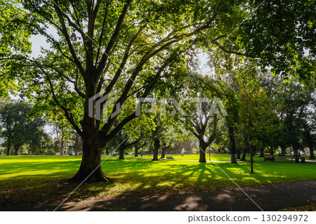 Carlton Gardens in Melbourne Australia Carlton Gardens in Melbourne Australia 130294972