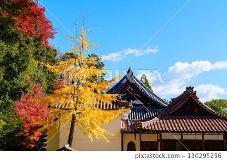 被秋葉環繞的寶勝寺小津宮神社 130295256