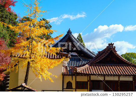 被秋葉環繞的寶勝寺小津宮神社 130295257