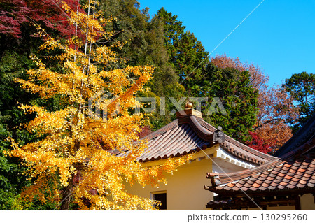 被秋葉環繞的寶勝寺小津宮神社 130295260