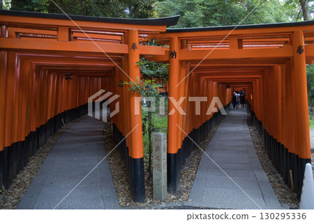 Inari Shrine: The Mysterious World of 1,000 Vermilion Torii Gates 8 Inari Shrine: The Mysterious World of 1,000 Vermilion Torii Gates 8 130295336