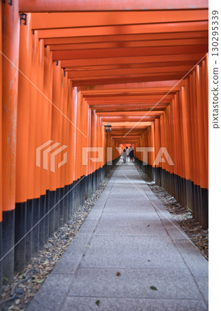 Inari Shrine: The Mysterious World of 10 Vermilion Torii Gates Inari Shrine: The Mysterious World of 10 Vermilion Torii Gates 130295339