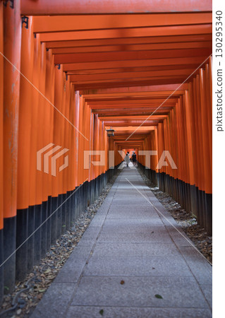 Inari Shrine: The Mysterious World of 1,000 Vermilion Torii Gates 11 Inari Shrine: The Mysterious World of 1,000 Vermilion Torii Gates 11 130295340