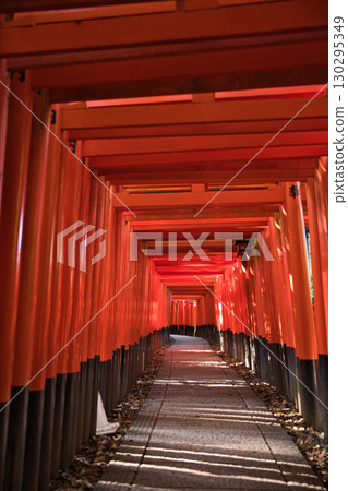 Inari Shrine: The Mysterious World of 1,000 Vermilion Torii Gates 21 Inari Shrine: The Mysterious World of 1,000 Vermilion Torii Gates 21 130295349