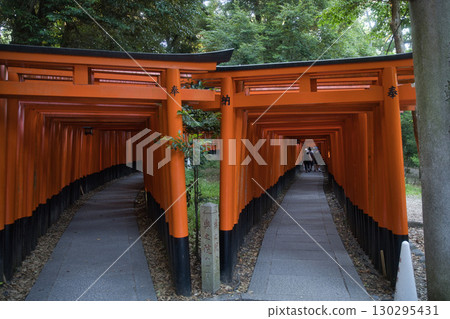 Inari Shrine: The Mysterious World of 1,000 Vermilion Torii Gates 7 130295431