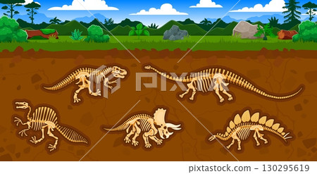 Archeology and paleontology science, dinosaur fossils in soil layers. Paleontology vector concept with tyrannosaur, ouranosaurus, triceratops, dravidosaurus and brontosaurus dinosaurs skeleton bones Archeology and paleontology science, dinosaur fossils in soil layers. Paleontology vector concept with tyrannosaur, ouranosaurus, triceratops, dravidosaurus and brontosaurus dinosaurs skeleton bones 130295619
