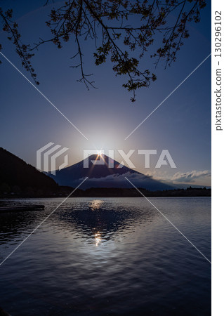 Lake Tanuki (Shizuoka Prefecture) Cherry blossoms along the lakeside and Diamond Fuji 130296102