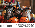 Kitten Halloween 130298540