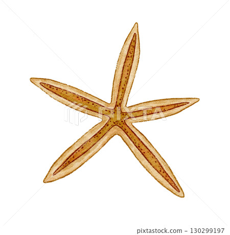 Beige five pointed starfish hand drawn in watercolor and colored pencil. Marine illustration in sandy and beige tones. Great for summer design print and card. Perfect for coastal art and decoration. Beige five pointed starfish hand drawn in watercolor and colored pencil. Marine illustration in sandy and beige tones. Great for summer design print and card. Perfect for coastal art and decoration. 130299197
