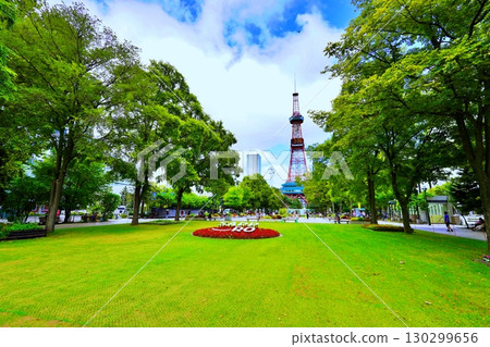 Scenery of Odori Park in Sapporo 130299656