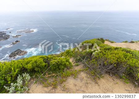 Cape Schanck is the southernmost tip of the Mornington Peninsula, Melbourne, Victoria, Australia. 130299837