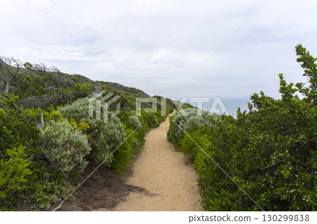 Cape Schanck is the southernmost tip of the Mornington Peninsula, Melbourne, Victoria, Australia. 130299838