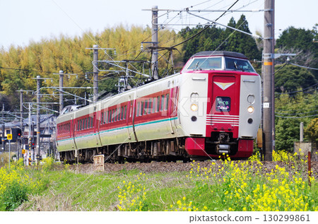 A 381 series Yakumo train runs along the Sanin Main Line, where yellow rape blossoms are in full bloom. A 381 series Yakumo train runs along the Sanin Main Line, where yellow rape blossoms are in full bloom. 130299861