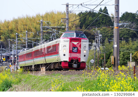 381號八雲號列車行駛在山陰本線上，沿途的黃色油菜花盛開。 130299864